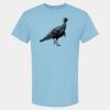 4800 - Best Value 100% Cotton T-Shirt Thumbnail