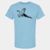 4800 - Best Value 100% Cotton T-Shirt Thumbnail