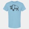 4800 - Best Value 100% Cotton T-Shirt Thumbnail