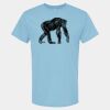 4800 - Best Value 100% Cotton T-Shirt Thumbnail