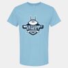 4800 - Best Value 100% Cotton T-Shirt Thumbnail