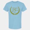 4800 - Best Value 100% Cotton T-Shirt Thumbnail