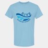 4800 - Best Value 100% Cotton T-Shirt Thumbnail