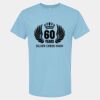 4800 - Best Value 100% Cotton T-Shirt Thumbnail