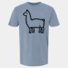 6500M - Best Value Ringspun Garment-Dyed T-Shirt Thumbnail