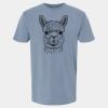 6500M - Best Value Ringspun Garment-Dyed T-Shirt Thumbnail