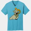 PC54V - Best Value 100% Cotton V-Neck Tee Thumbnail