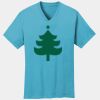 PC54V - Best Value 100% Cotton V-Neck Tee Thumbnail