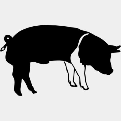 Warthog Thumbnail