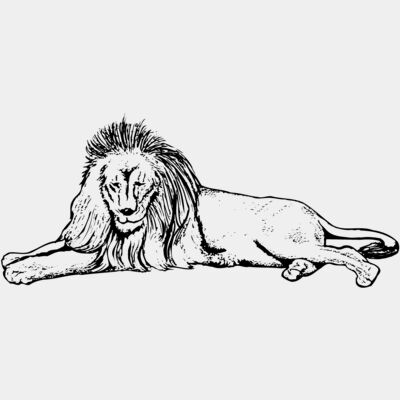 Lion Thumbnail