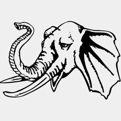 Elephants Thumbnail