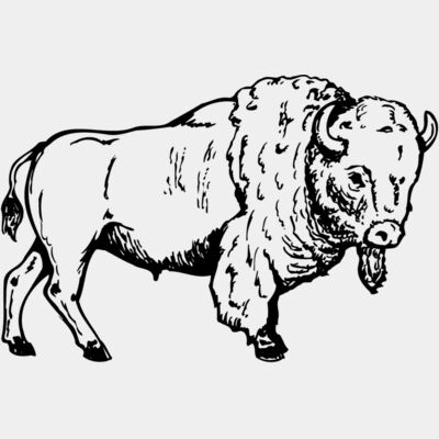 Buffalo Thumbnail