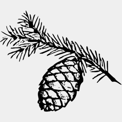Pine Cone Thumbnail