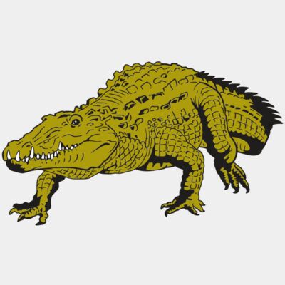 Gators Thumbnail