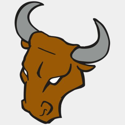 Bulls Thumbnail