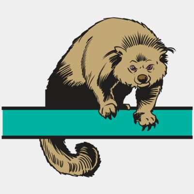 Bearcats Thumbnail