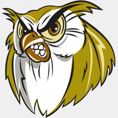 Owls Thumbnail