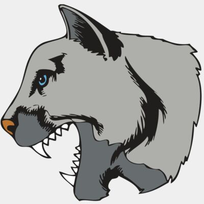Panthers Thumbnail