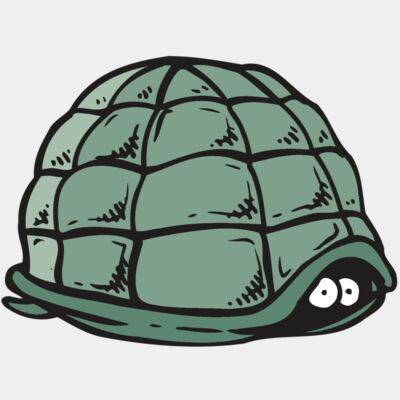 Turtles Thumbnail